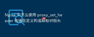 Nginx 中怎么使用 proxy_set_header 传递自定义的追踪标识标头