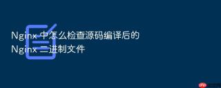 nginx 中怎么检查源码编译后的 nginx 二进制文件