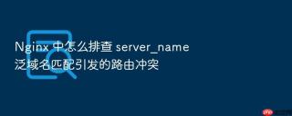 nginx 中怎么排查 server_name 泛域名匹配引发的路由冲突