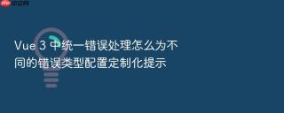 vue 3 中统一错误处理怎么为不同的错误类型配置定制化提示