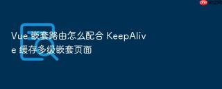 vue 嵌套路由怎么配合 keepalive 缓存多级嵌套页面