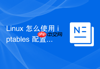linux 怎么使用 iptables 配置 snat 隐藏内网源 ip