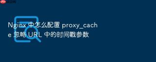 nginx 中怎么配置 proxy_cache 忽略 url 中的时间戳参数