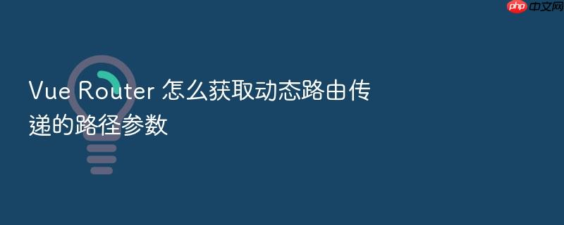 vue router 怎么获取动态路由传递的路径参数
