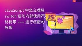 JavaScript 中怎么理解 switch 语句内部使用严格相等 === 进行匹配的原理