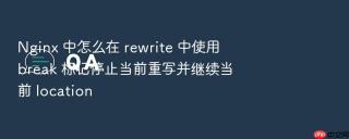 nginx 中怎么在 rewrite 中使用 break 标记停止当前重写并继续当前 location