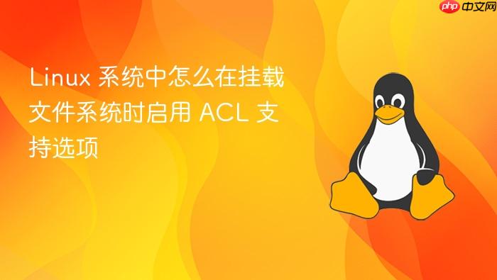 linux 系统中怎么在挂载文件系统时启用 acl 支持选项