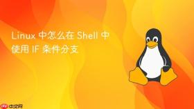linux 中怎么在 shell 中使用 if 条件分支