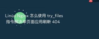 linux nginx 怎么使用 try_files 指令解决单页面应用刷新 404