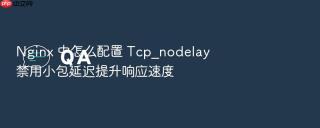 nginx 中怎么配置 tcp_nodelay 禁用小包延迟提升响应速度