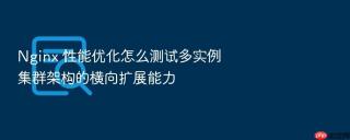 Nginx 性能优化怎么测试多实例集群架构的横向扩展能力