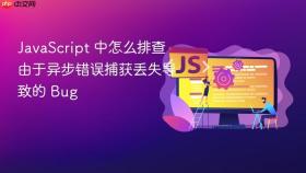 javascript 中怎么排查由于异步错误捕获丢失导致的 bug