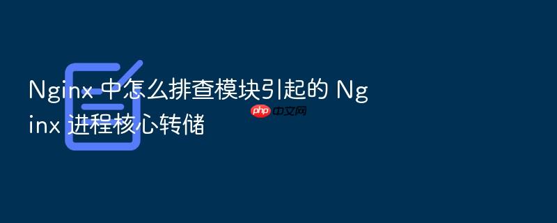 nginx 中怎么排查模块引起的 nginx 进程核心转储