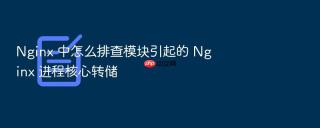 nginx 中怎么排查模块引起的 nginx 进程核心转储