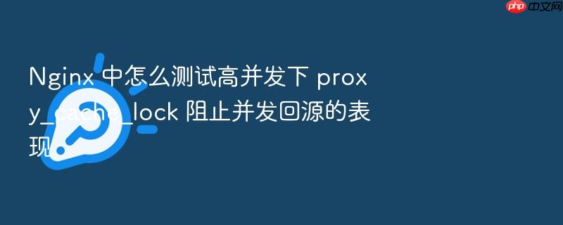 nginx 中怎么测试高并发下 proxy_cache_lock 阻止并发回源的表现