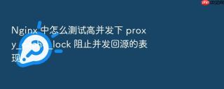 nginx 中怎么测试高并发下 proxy_cache_lock 阻止并发回源的表现