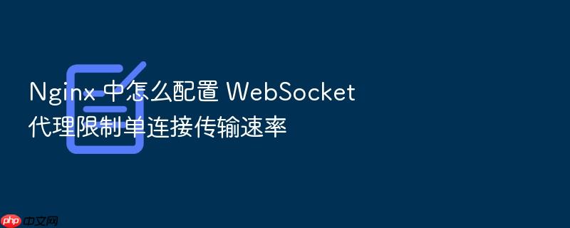 nginx 中怎么配置 websocket 代理限制单连接传输速率