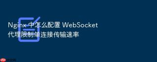nginx 中怎么配置 websocket 代理限制单连接传输速率