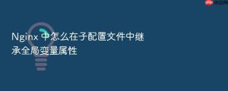 nginx 中怎么在子配置文件中继承全局变量属性