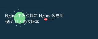 nginx 中怎么指定 nginx 仅启用现代 tls 协议版本