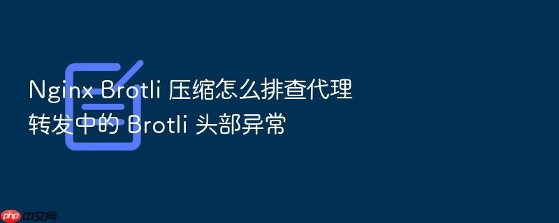 nginx brotli 压缩怎么排查代理转发中的 brotli 头部异常