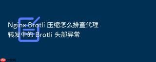 nginx brotli 压缩怎么排查代理转发中的 brotli 头部异常