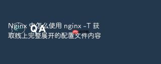 nginx 中怎么使用 nginx -t 获取线上完整展开的配置文件内容