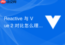 reactive 与 vue 2 对比怎么理解 reactive 的 proxy 机制彻底解决 vue 2 缺陷