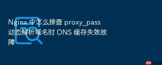 nginx 中怎么排查 proxy_pass 动态解析域名时 dns 缓存失效故障