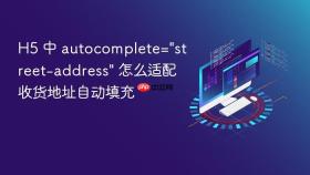 H5 中 autocomplete=