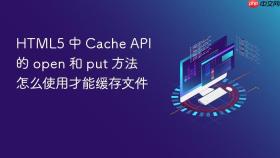 html5 中 cache api 的 open 和 put 方法怎么使用才能缓存文件