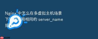 nginx 中怎么在多虚拟主机场景下安全复用相同的 server_name 规则