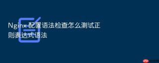 nginx 配置语法检查怎么测试正则表达式语法