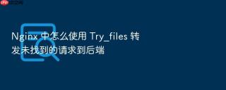 nginx 中怎么使用 try_files 转发未找到的请求到后端