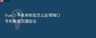 vue 3 中表单校验怎么处理端口号的数值范围验证