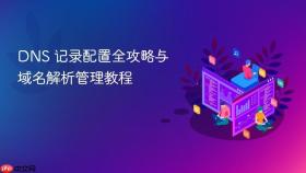 dns 记录配置全攻略与域名解析管理教程