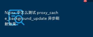 nginx 中怎么测试 proxy_cache_background_update 异步刷新效果