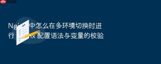 nginx 中怎么在多环境切换时进行 nginx 配置语法与变量的校验