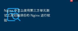 nginx 中怎么使用第三方单元测试工具对编译后的 nginx 进行校验