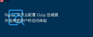 Nginx 中怎么配置 Gzip 压缩提升低带宽用户的访问体验
