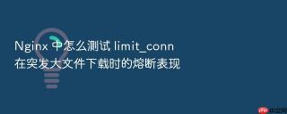 nginx 中怎么测试 limit_conn 在突发大文件下载时的熔断表现