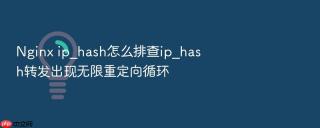 Nginx ip_hash怎么排查ip_hash转发出现无限重定向循环