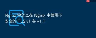 nginx 中怎么在 nginx 中禁用不安全的 tls v1 与 v1.1