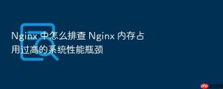 nginx 中怎么排查 nginx 内存占用过高的系统性能瓶颈