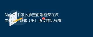 Nginx 中怎么排查前端框架在反向代理下获取 URL 协议错乱故障