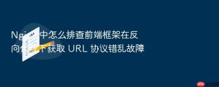 nginx 中怎么排查前端框架在反向代理下获取 url 协议错乱故障