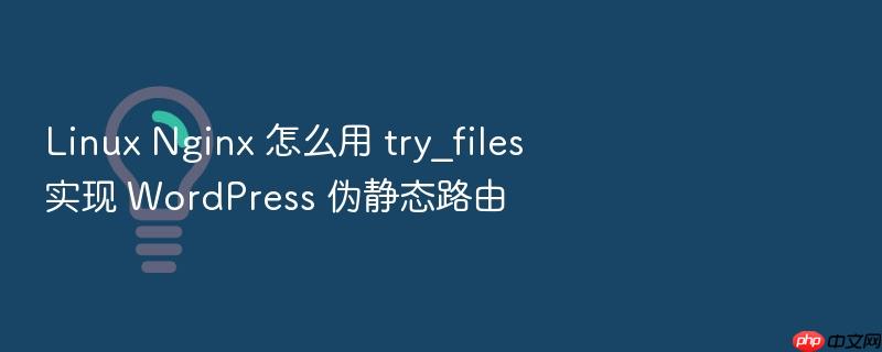 linux nginx 怎么用 try_files 实现 wordpress 伪静态路由