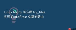 linux nginx 怎么用 try_files 实现 wordpress 伪静态路由