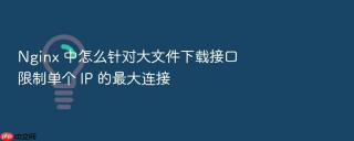 Nginx 中怎么针对大文件下载接口限制单个 IP 的最大连接