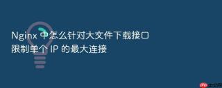 nginx 中怎么针对大文件下载接口限制单个 ip 的最大连接